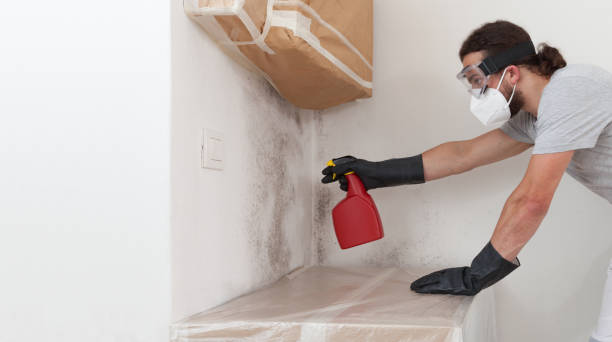 Professional Mold Remediation technician working in Midland, NC