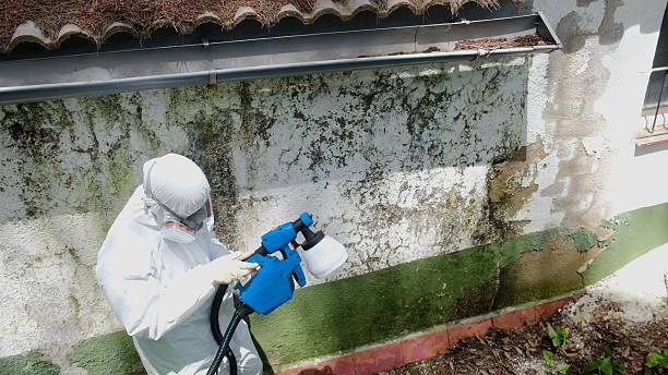 Top rated local Mold Remediation specialists in Midland, NC